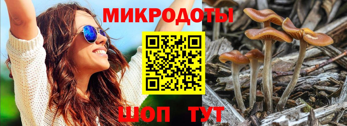 Псилоцибиновые грибы ЛСД Долгопрудный