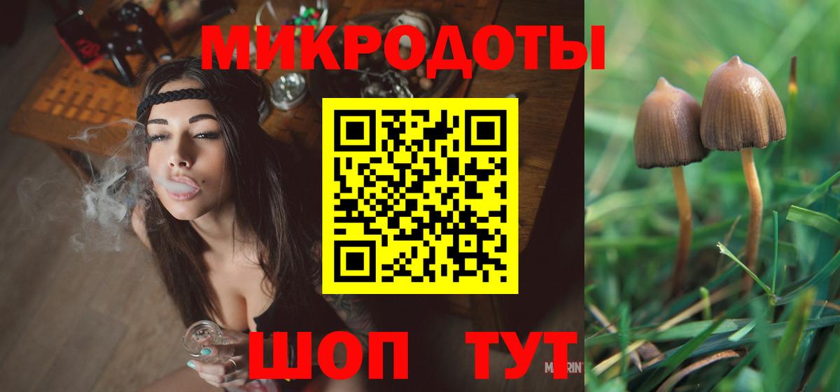 где купить   Вход с VPN  Долгопрудный  Галлюциногенные грибы мицелий  Галлюциногенные грибы мицелий 